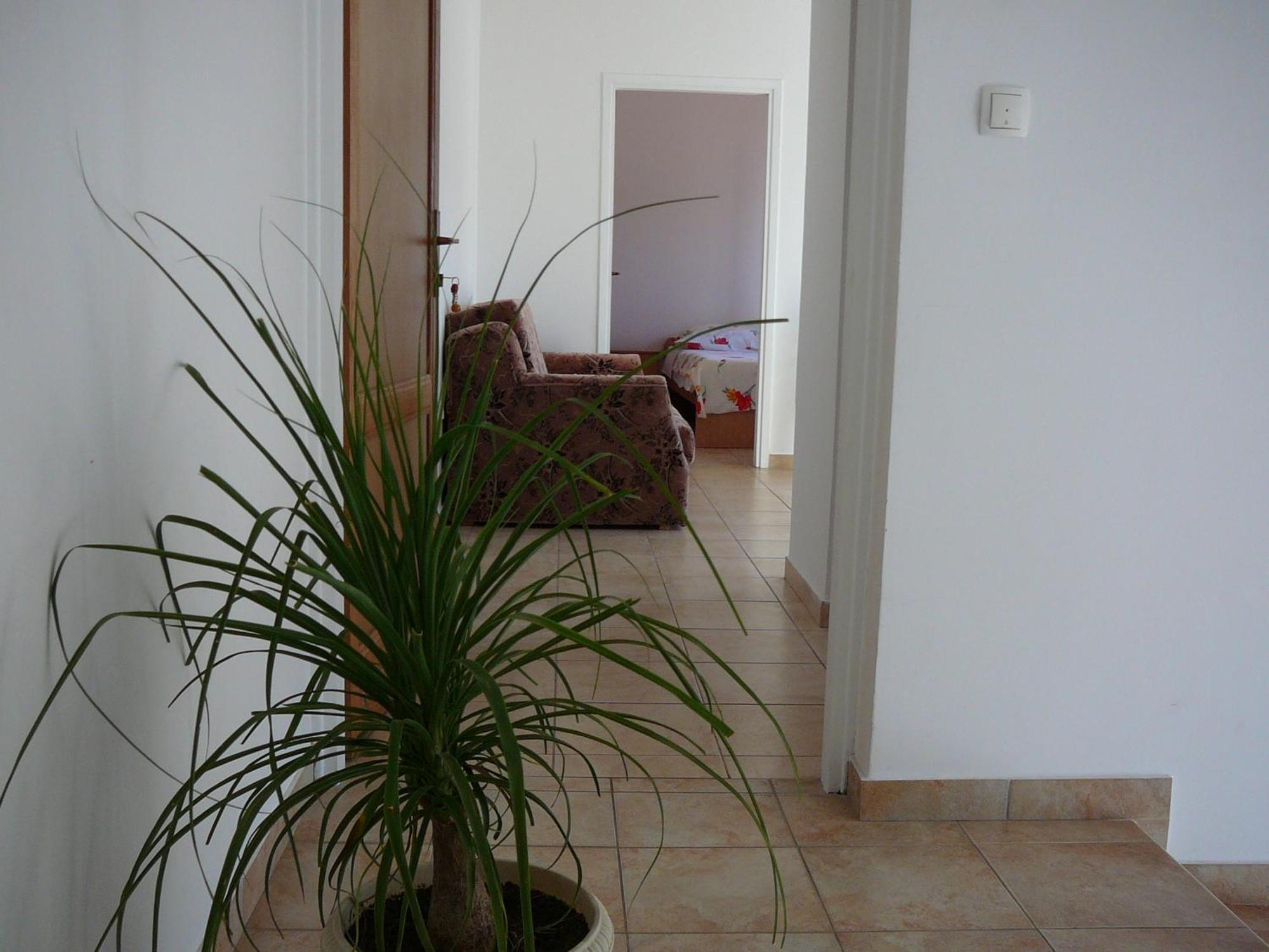 Perica Apartments ザダル エクステリア 写真